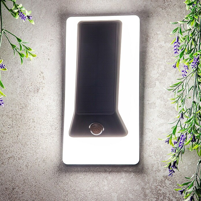 Arte confort Aplique solar para exterior Lexor (1,4 W, Blanco cálido, Blanco) | BAUHAUS