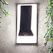 Arte confort Aplique solar para exterior Lexor (1,4 W, Blanco cálido, Blanco) | BAUHAUS