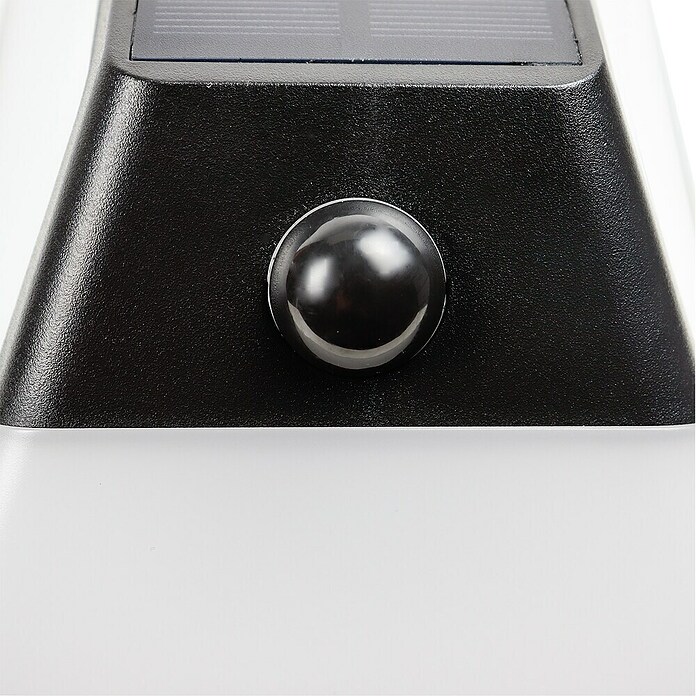 Arte confort Aplique solar para exterior Lexor (1,4 W, Blanco cálido, Blanco) | BAUHAUS