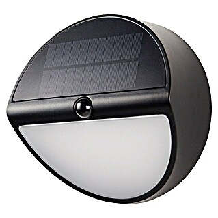 Arte confort Aplique exterior LED con sensor Prion (L x An x Al: 20 x 9,7 x 20 cm)