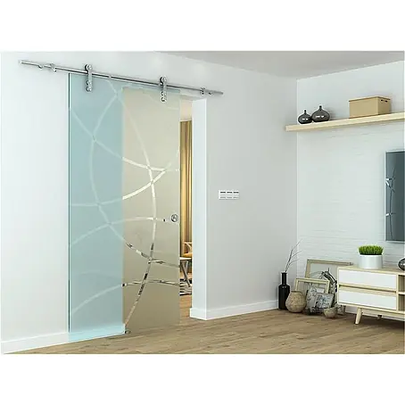 Glaszentrum Hagen  Zimmertür Glasschiebetür 2050x775x8 mm Zirkula, ESG
