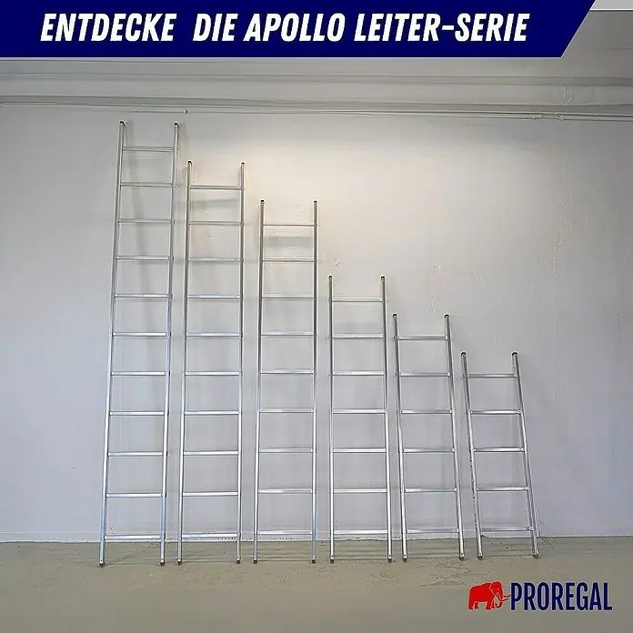 Proregal Anlegeleiter ATLAS - Anzahl Tritte: 9 Stk., Arbeitshöhe: 3.470 mm, Belastbarkeit: 150 kg, Aluminium - Vielfalt entdecken: Die Apollo Leiter-Serie bietet Leitern in verschiedenen Größen für jede Aufgabe. Robust und zuverlässig.