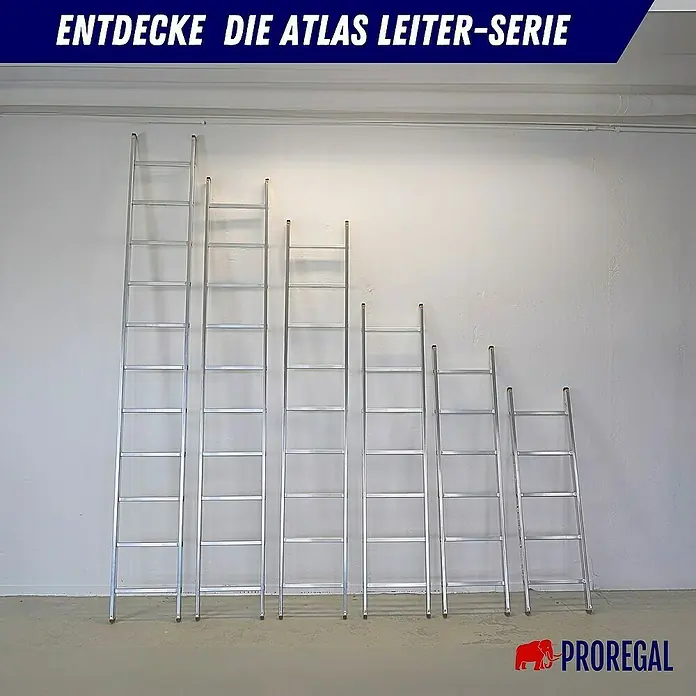 Proregal Anlegeleiter ATLAS - Anzahl Tritte: 7 Stk., Arbeitshöhe: 2.950 mm, Belastbarkeit: 150 kg, Aluminium - Die Atlas Leiter-Serie präsentiert eine Auswahl an robusten Aluminiumleitern in verschiedenen Größen für unterschiedliche Höhenanforderungen.