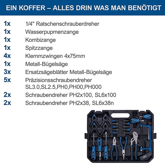 Scheppach Werkzeugkoffer WZK169 (169 -tlg., Kunststoff) | BAUHAUS