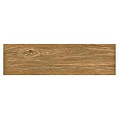Tau ceramica Keramische tegel Ragusa Umber (20 x 75 cm, Umber, Mat) | BAUHAUS