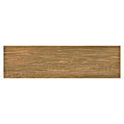 Tau ceramica Keramische tegel Ragusa Umber (20 x 75 cm, Umber, Mat) | BAUHAUS
