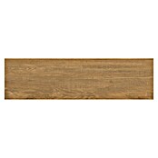 Tau ceramica Keramische tegel Ragusa Umber (20 x 75 cm, Umber, Mat) | BAUHAUS