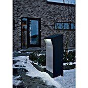 Allux Paketbox Björn mit LED (L x B x H: 365 x 400 x 1 100 mm, Schwarz / Grau, Stahl, Paketfach) | BAUHAUS
