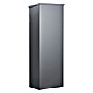 Allux Paketbox 600 (L x B x H: 230 x 380 x 1 050 mm, Anthrazit, Stahl, Paketfach) | BAUHAUS