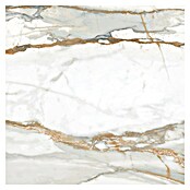 Tau ceramica Keramische tegel Kian Gold (60 x 60 cm, Wit, Glanzend) | BAUHAUS