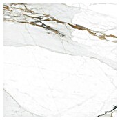 Tau ceramica Keramische tegel Kian Gold (60 x 60 cm, Wit, Glanzend) | BAUHAUS