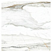 Tau ceramica Keramische tegel Kian Gold (60 x 60 cm, Wit, Glanzend) | BAUHAUS