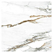 Tau ceramica Keramische tegel Kian Gold (60 x 60 cm, Wit, Glanzend) | BAUHAUS