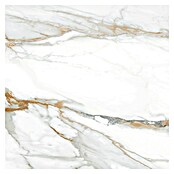 Tau ceramica Keramische tegel Kian Gold (60 x 60 cm, Wit, Glanzend) | BAUHAUS