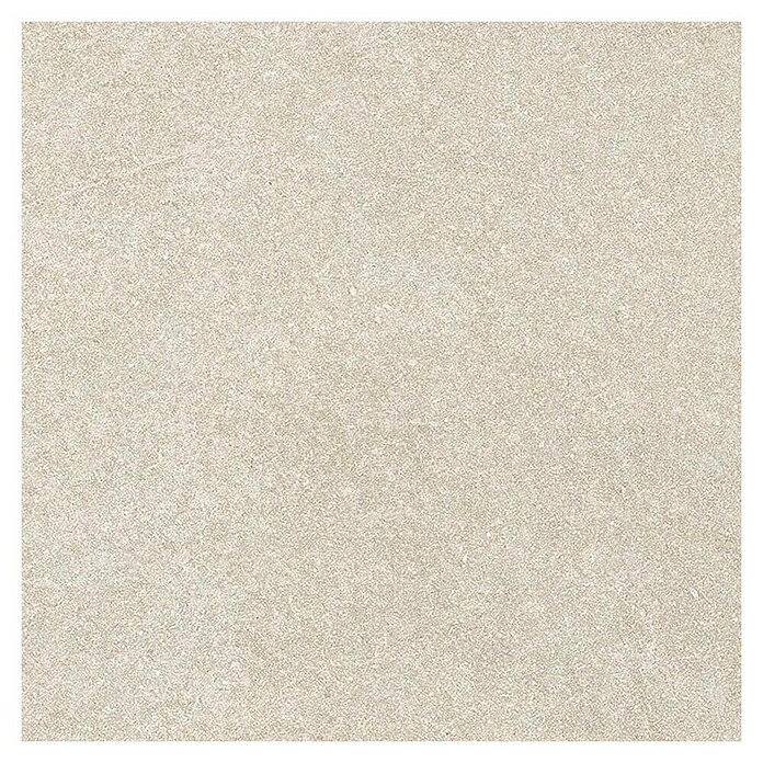 Tau ceramica Keramische tegel Fidenza Silver (60 x 60 cm, Silver, Mat) | BAUHAUS