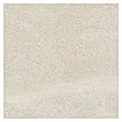 Tau ceramica Keramische tegel Fidenza Silver (60 x 60 cm, Silver, Mat) | BAUHAUS