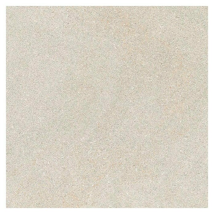 Tau ceramica Keramische tegel Fidenza Silver (60 x 60 cm, Silver, Mat) | BAUHAUS