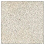 Tau ceramica Keramische tegel Fidenza Silver (60 x 60 cm, Silver, Mat) | BAUHAUS