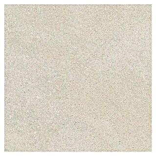 Tau ceramica Keramische tegel Fidenza Silver (60 x 60 cm, Silver, Mat)
