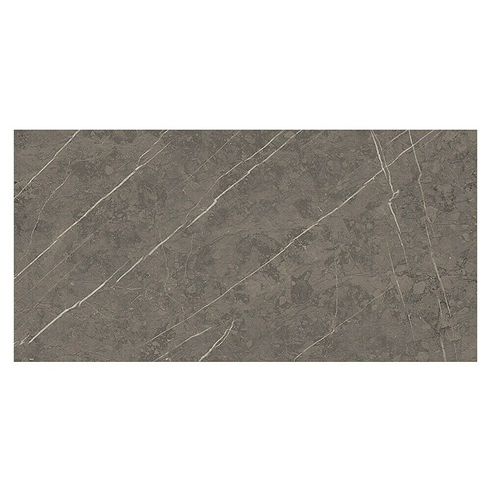 Tau ceramica Keramische tegel Altamura Gray (30 x 60 cm, Gray, Mat) | BAUHAUS