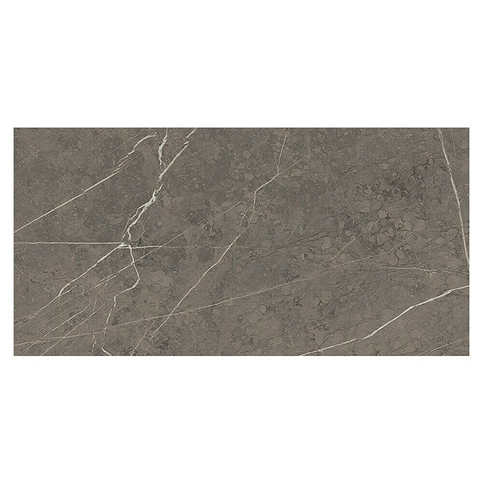 Tau ceramica Keramische tegel Altamura Gray (30 x 60 cm, Gray, Mat) | BAUHAUS