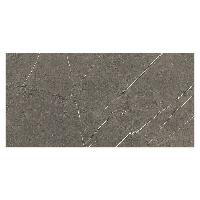 Tau ceramica Keramische tegel Altamura Gray (30 x 60 cm, Gray, Mat) | BAUHAUS