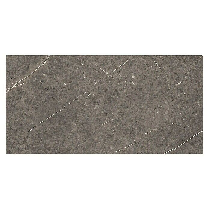 Tau ceramica Keramische tegel Altamura Gray (30 x 60 cm, Gray, Mat) | BAUHAUS