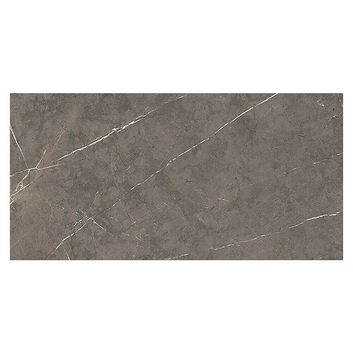 Tau ceramica Keramische tegel Altamura Gray (30 x 60 cm, Gray, Mat) | BAUHAUS