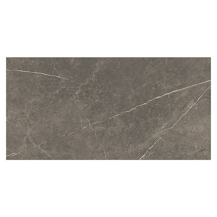 Tau ceramica Keramische tegel Altamura Gray (30 x 60 cm, Gray, Mat) | BAUHAUS