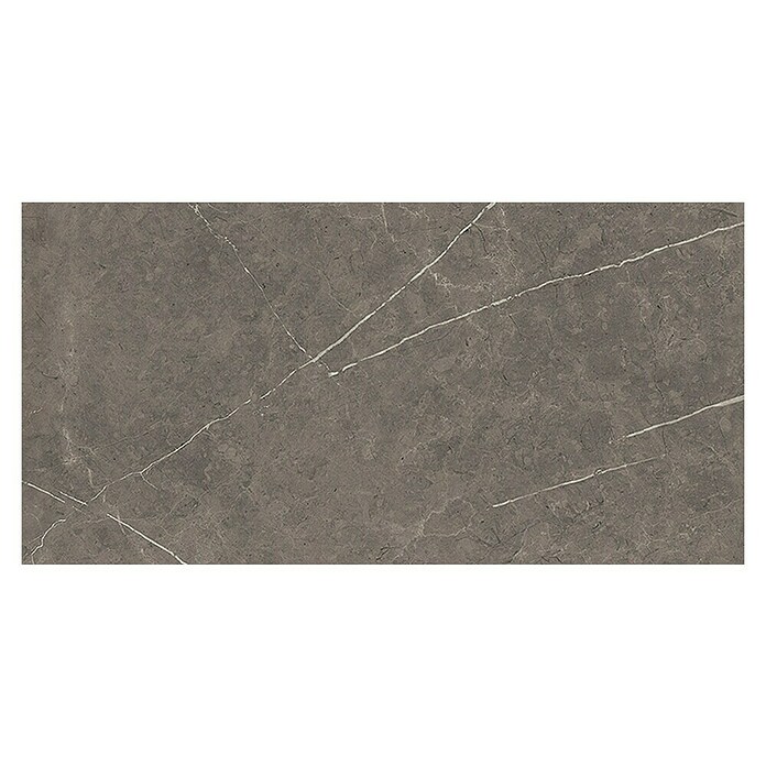 Tau ceramica Keramische tegel Altamura Gray (30 x 60 cm, Gray, Mat) | BAUHAUS