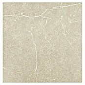 Tau ceramica Keramische tegel Soapstone Tan (60 x 60 cm, Tan, Mat) | BAUHAUS