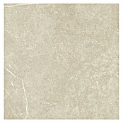 Tau ceramica Keramische tegel Soapstone Tan (60 x 60 cm, Tan, Mat) | BAUHAUS