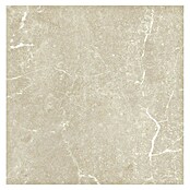 Tau ceramica Keramische tegel Soapstone Tan (60 x 60 cm, Tan, Mat) | BAUHAUS