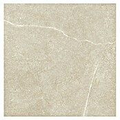Tau ceramica Keramische tegel Soapstone Tan (60 x 60 cm, Tan, Mat) | BAUHAUS