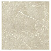Tau ceramica Keramische tegel Soapstone Tan (60 x 60 cm, Tan, Mat) | BAUHAUS