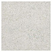 Tau ceramica Keramische tegel Roadstone Pearl (60 x 60 cm, Pearl, Mat) | BAUHAUS