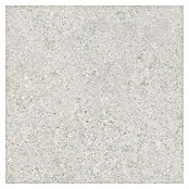 Tau ceramica Keramische tegel Roadstone Pearl (60 x 60 cm, Pearl, Mat) | BAUHAUS