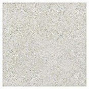 Tau ceramica Keramische tegel Roadstone Pearl (60 x 60 cm, Pearl, Mat) | BAUHAUS