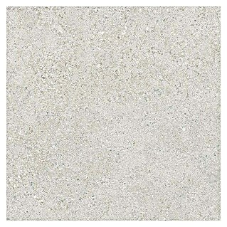Tau ceramica Keramische tegel Roadstone Pearl (60 x 60 cm, Pearl, Mat)
