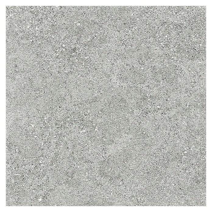 Tau ceramica Keramische tegel Roadstone Silver (60 x 60 cm, Silver, Mat) | BAUHAUS
