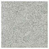 Tau ceramica Keramische tegel Roadstone Silver (60 x 60 cm, Silver, Mat) | BAUHAUS
