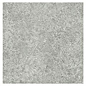 Tau ceramica Keramische tegel Roadstone Silver (60 x 60 cm, Silver, Mat) | BAUHAUS