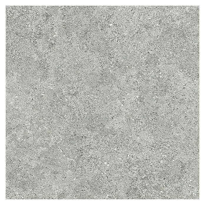 Tau ceramica Keramische tegel Roadstone Silver (60 x 60 cm, Silver, Mat) | BAUHAUS