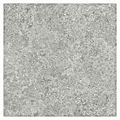 Tau ceramica Keramische tegel Roadstone Silver (60 x 60 cm, Silver, Mat) | BAUHAUS