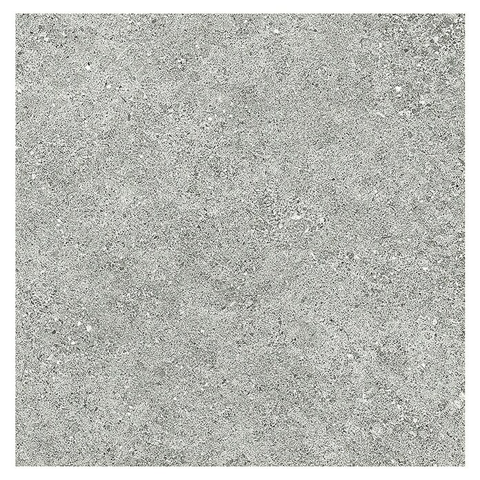 Tau ceramica Keramische tegel Roadstone Silver (60 x 60 cm, Silver, Mat) | BAUHAUS