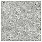 Tau ceramica Keramische tegel Roadstone Silver (60 x 60 cm, Silver, Mat) | BAUHAUS