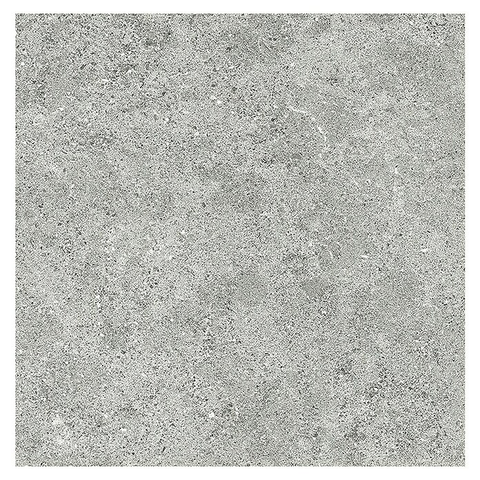 Tau ceramica Keramische tegel Roadstone Silver (60 x 60 cm, Silver, Mat) | BAUHAUS