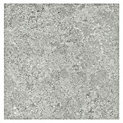 Tau ceramica Keramische tegel Roadstone Silver (60 x 60 cm, Silver, Mat) | BAUHAUS