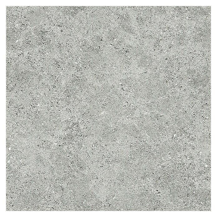 Tau ceramica Keramische tegel Roadstone Silver (60 x 60 cm, Silver, Mat) | BAUHAUS