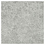 Tau ceramica Keramische tegel Roadstone Silver (60 x 60 cm, Silver, Mat) | BAUHAUS